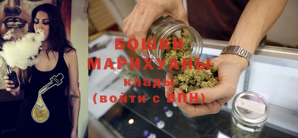 гидра Няндома