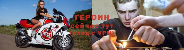 гидра Няндома