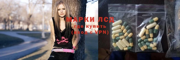 гидра Няндома