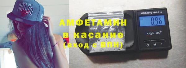 гидра Няндома