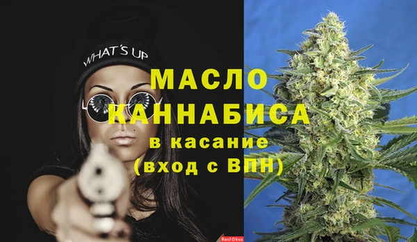 гидра Няндома