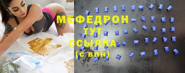 гидра Няндома