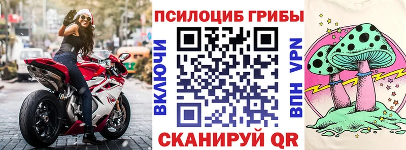 купить закладку  Белебей  Псилоцибиновые грибы мухоморы 