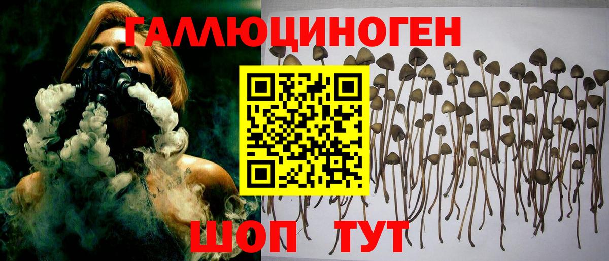 Белебей  Псилоцибиновые грибы прущие грибы  где продают   Вход с VPN 