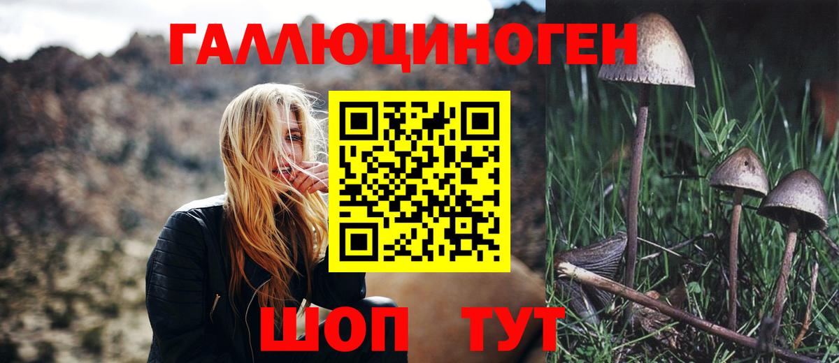 Псилоцибиновые грибы ЛСД Белебей